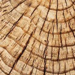 Indoor/Outdoor Faux Concrete Stump Accent Table Brown - Threshold™ Designed With Studio McGee 4 Indoor/Outdoor Faux Concrete Stump Accent Table Brown - Threshold™ Designed With Studio McGee -WarmWhisper Store GUEST 03deabfd 2b62 4725 94b4 09a321ea8678