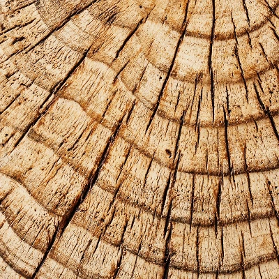 Indoor/Outdoor Faux Concrete Stump Accent Table Brown - Threshold™ designed with Studio McGee Indoor/Outdoor Faux Concrete Stump Accent Table Brown - Threshold™ Designed With Studio McGee -WarmWhisper Store GUEST 03deabfd 2b62 4725 94b4 09a321ea8678