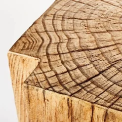 Indoor/Outdoor Faux Concrete Stump Accent Table Brown - Threshold™ Designed With Studio McGee 3 Indoor/Outdoor Faux Concrete Stump Accent Table Brown - Threshold™ Designed With Studio McGee -WarmWhisper Store GUEST 0507ce42 1b4d 418a 858c 11fe1ac459fe