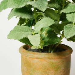 Artificial Potted Mint Leaf - Threshold™ Designed With Studio McGee -WarmWhisper Store GUEST 19a08200 78b7 461e bcd9 c962450d4305