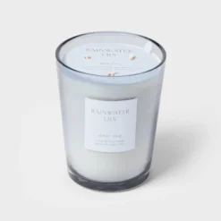 Colored Vase Glass With Dustcover Rainwater Lily Candle Gray - Threshold™ 4 Colored Vase Glass With Dustcover Rainwater Lily Candle Gray - Threshold™ -WarmWhisper Store GUEST 1a738ead 7e7a 4f46 b4ff 79439b3488d0