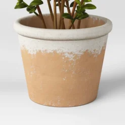 Artificial Medium Boxwood In Terracotta Pot Green - Threshold™ Designed With Studio McGee -WarmWhisper Store GUEST 3859bebc ef74 4067 b0a8 d2730a37750b
