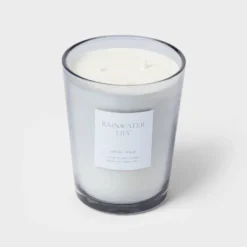 Colored Vase Glass With Dustcover Rainwater Lily Candle Gray - Threshold™ 2 Colored Vase Glass With Dustcover Rainwater Lily Candle Gray - Threshold™ -WarmWhisper Store GUEST 4dd3a894 6c80 4248 a2de 93743bf8dee9