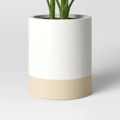 Large Variegated Plant - Threshold™ -WarmWhisper Store GUEST 7d5c4722 8e80 4f51 9089 0f72358617e5