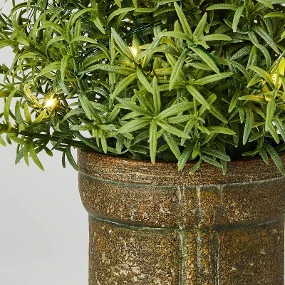 Rosemary Pre-Lit Christmas Arrangement - Threshold™ designed with Studio McGee Rosemary Pre-Lit Christmas Arrangement - Threshold™ Designed With Studio McGee -WarmWhisper Store GUEST c3f88f63 3f38 4689 a4ae 489d5cce09d2