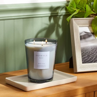 Colored Vase Glass with Dustcover Rainwater Lily Candle Gray - Threshold™ Colored Vase Glass With Dustcover Rainwater Lily Candle Gray - Threshold™ -WarmWhisper Store GUEST d1f6c75b 5450 4bd4 ba74 ccc44d57df12