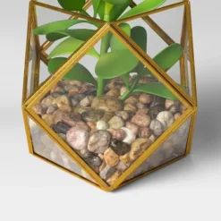 5" X 4" Artificial Succulent Plant With Brass Terrarium - Threshold™ -WarmWhisper Store GUEST e581f30b 3349 4561 94cd 4b256f51db66